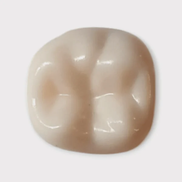 HIGH ANATOMY EXTRA HARD TRAINIG  TEETH