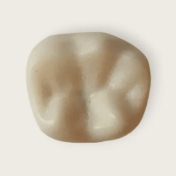 HARD TRAINIG TEETH