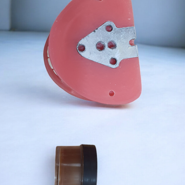 Photoroom 20240811 134444 600x600