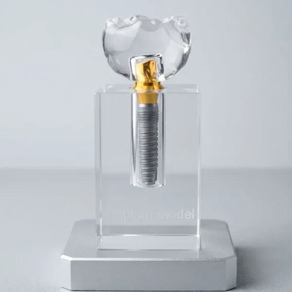 Crystal clear dental implant educational model with a gold abutment and gray screw